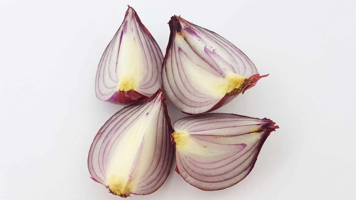 Salmonella Outbreak Canada Is Dealing With Could Be Responsible For 1 Death