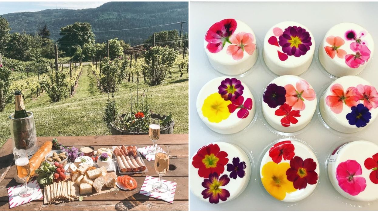 Salt Spring Island In BC Is A Cheese Lover's Dream Come True