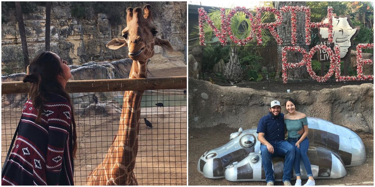 There’s no need to pick your attractions now—decide later. San Antonio Zoo Discounted Tickets Are Available This Winter Narcity