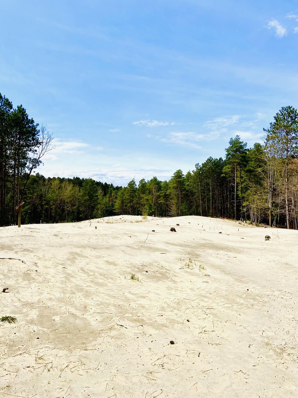 Sand dunes in Pinhey Forest in the city of Ottawa.