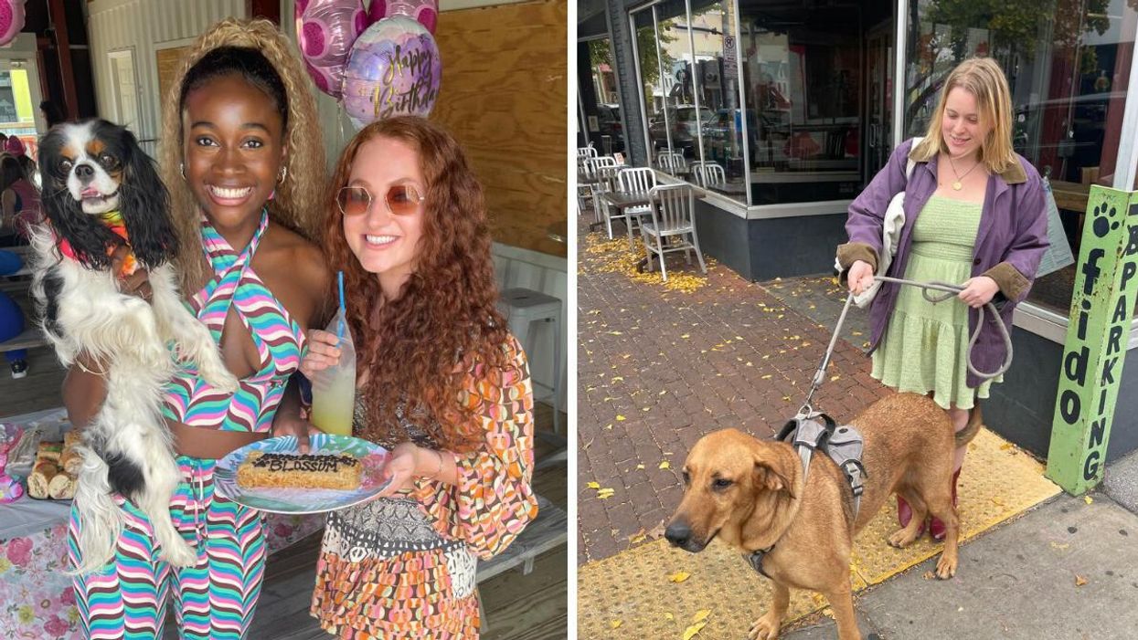 SandBar patrons with their dog at a puppy party. Right: Maeve holding a dog on a leash in Nashville.