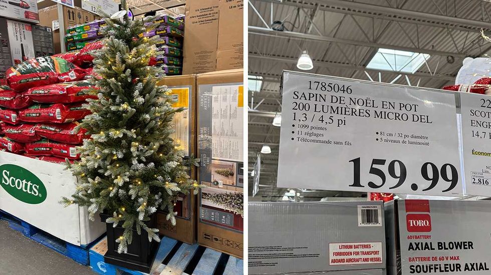 Sapin de No\u00ebl en pot en vente chez Costco. Droite : affiche de prix Costco pour le sapin de No\u00ebl en pot.