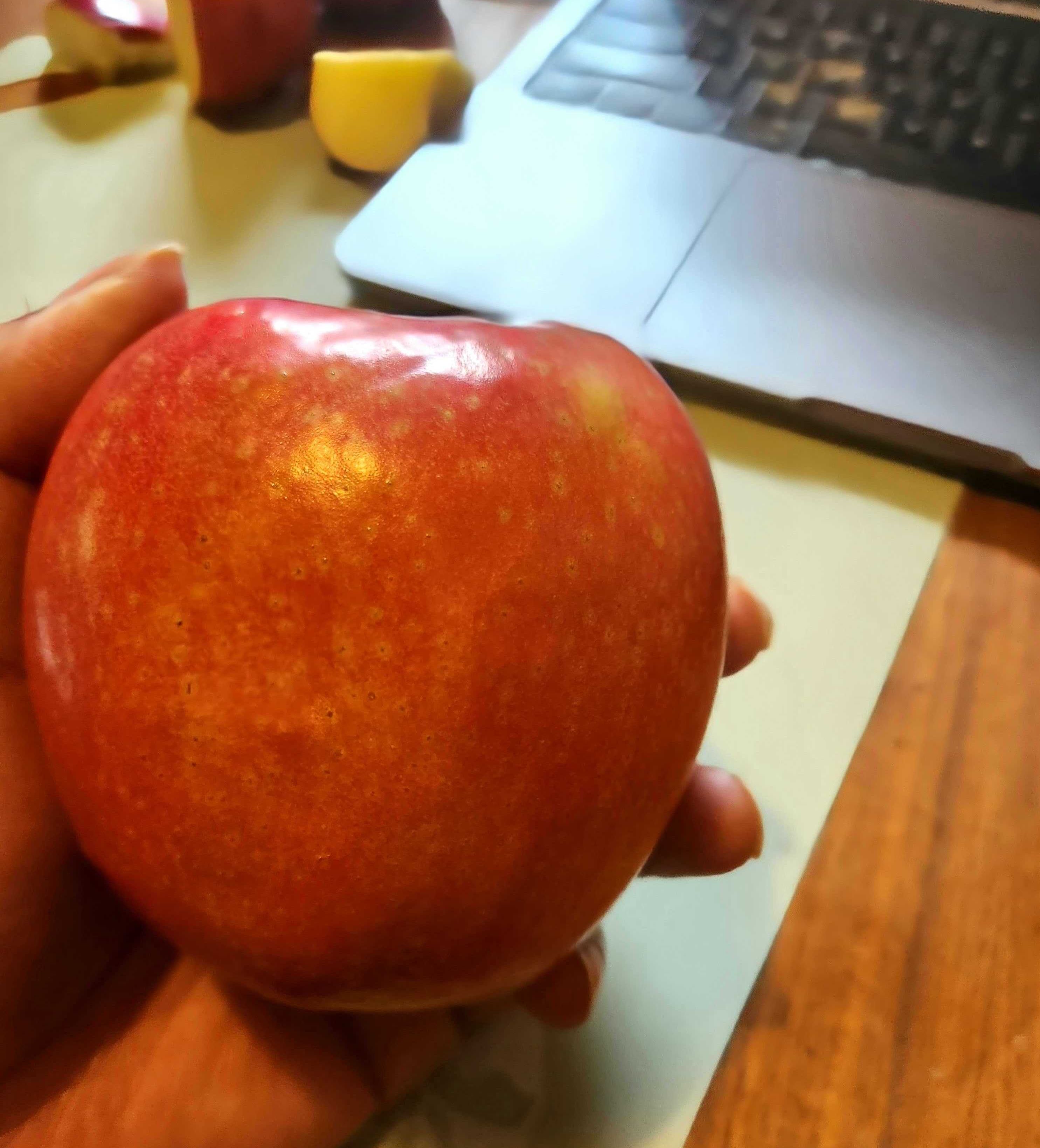 Sarah holding a Pink Lady apple from Walmart.