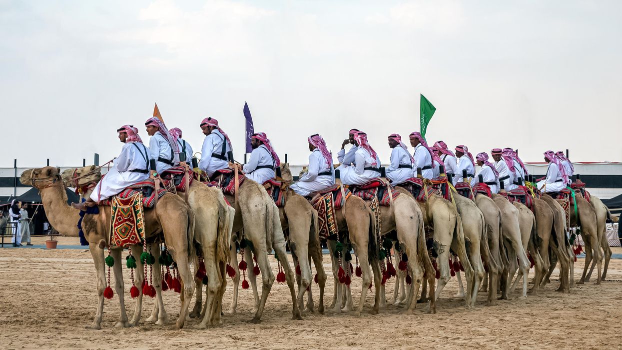 Saudi Arabia's Camel Beauty Pageant Has A Botox Problem & There's $66M On The Line