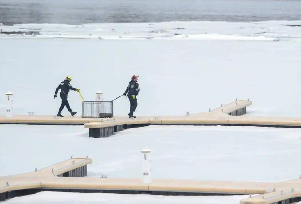 Sauvetage Animal Rescue en action.