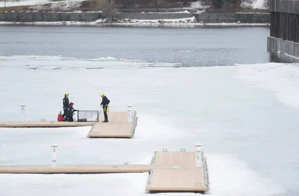 Sauvetage Animal Rescue en action.