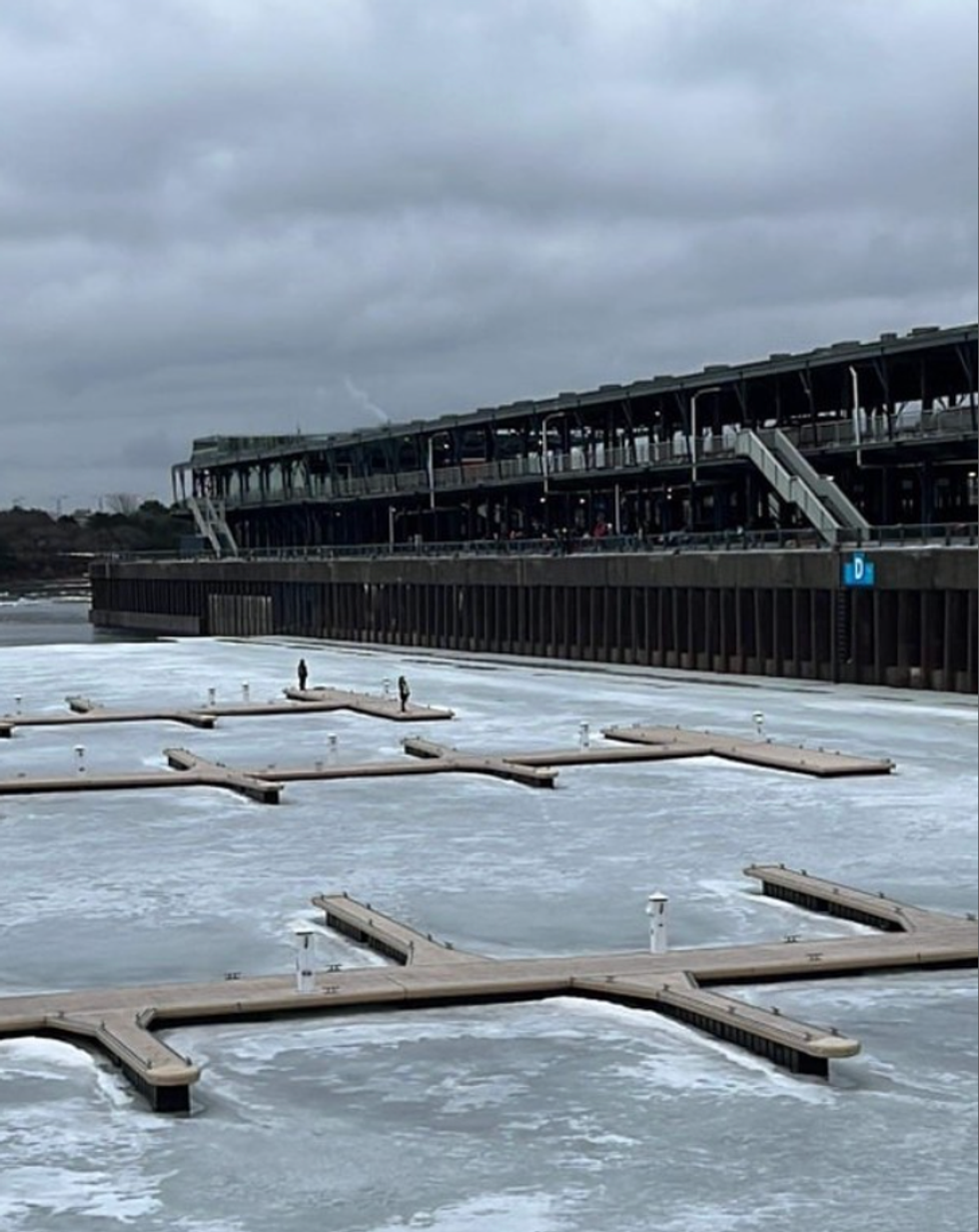 Sauvetage Animal Rescue en action.