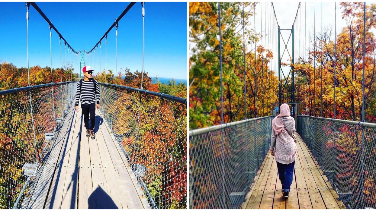 Scenic Caves Suspension Bridge In Ontario Lets You Admire The Autumn Leaves Mid-Air