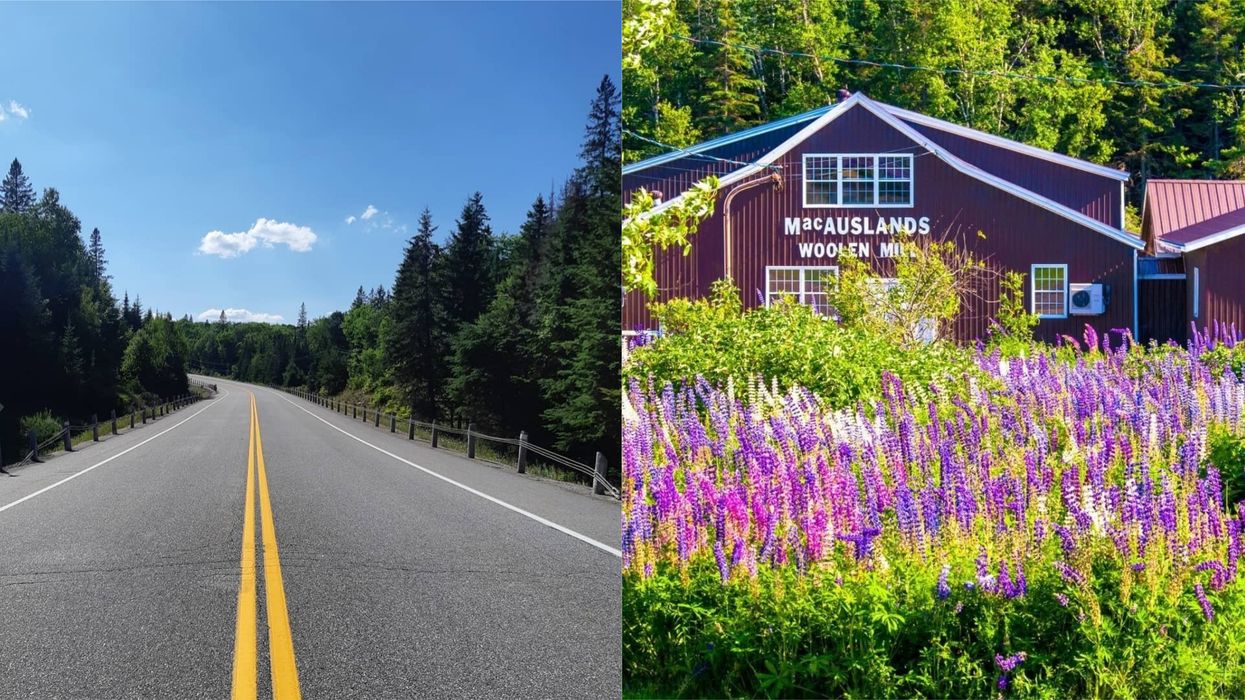 Scenic Drives In Canada You Can Explore & See Spring In Full Bloom