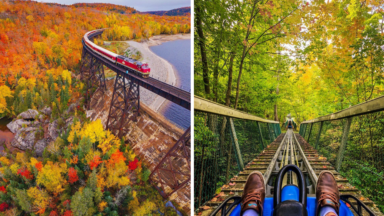 Scenic train ride past fall colours. Right: Mountain coaster in Ontario.