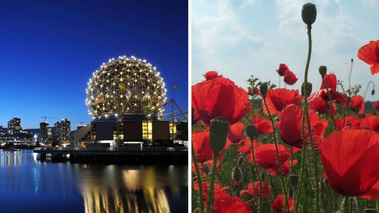 Science World. Right: Poppies.