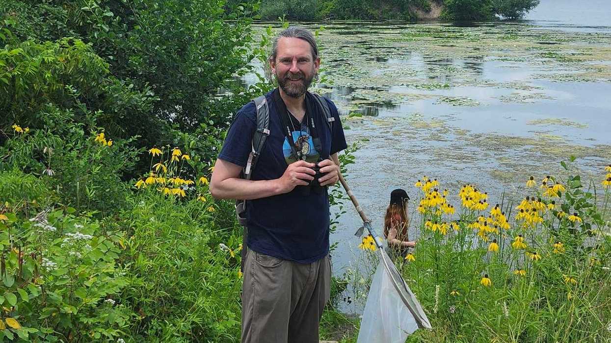 Scientists hope to save endangered butterflies