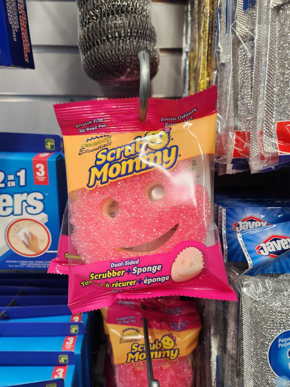 ScrubMommy Dual-Sided Scrubber + Sponge from Dollarama in Toronto, $4.00.