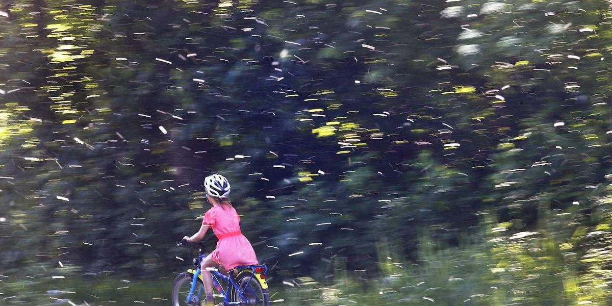 Runny nose? Itchy? Experts say seasonal allergies worsening due to increase in pollen Runny nose? Itchy? Experts say seasonal allergies worsening due to increase in pollen