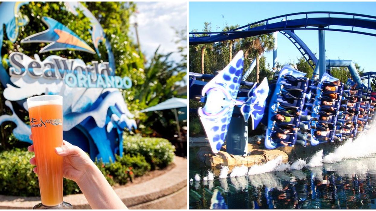 SeaWorld Orlando Has Officially Extended Its Summer Hours