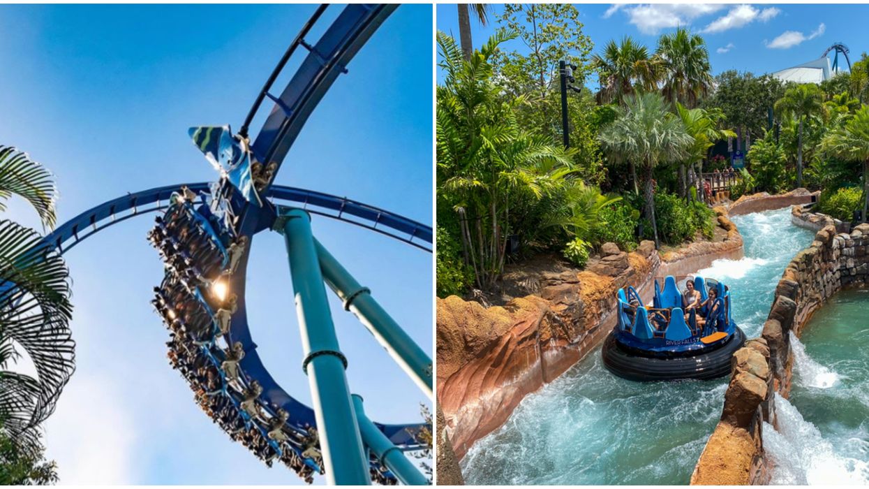 SeaWorld Orlando Ticket Flash Sale This Summer Will Have You Enjoying The Park For Cheap