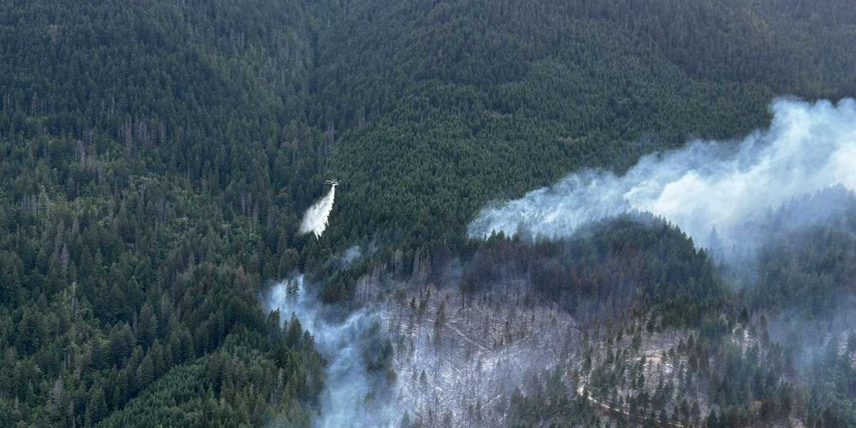 A First Nation near Boston Bar, B.C., issues evacuation order as wildfire grows A First Nation near Boston Bar, B.C., issues evacuation order as wildfire grows
