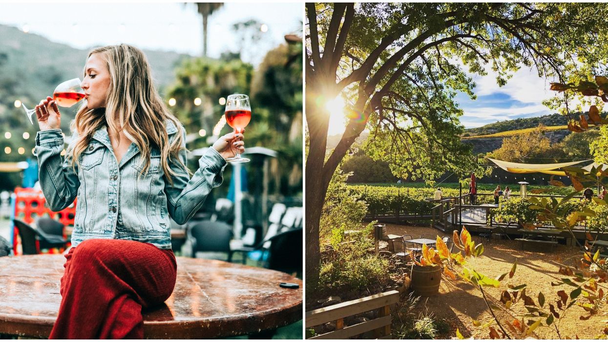 Sedona Vineyards Tours Groupon Will Take You To 4 Wineries For Cheap