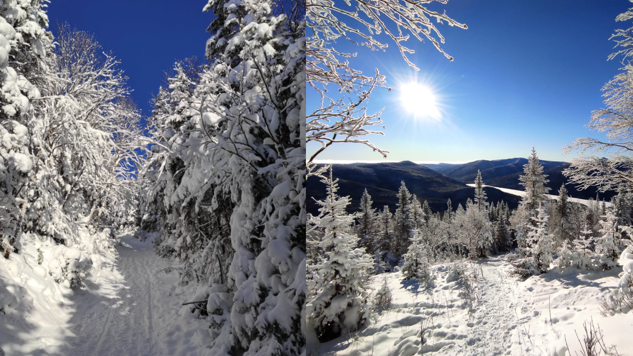 Sentiers de randonnée en Gaspésie