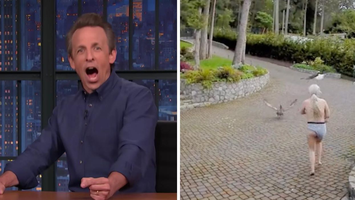 Seth Meyers on 'Late Night with Seth Meyers' Right: Video of breastfeeding mom saving her goose.