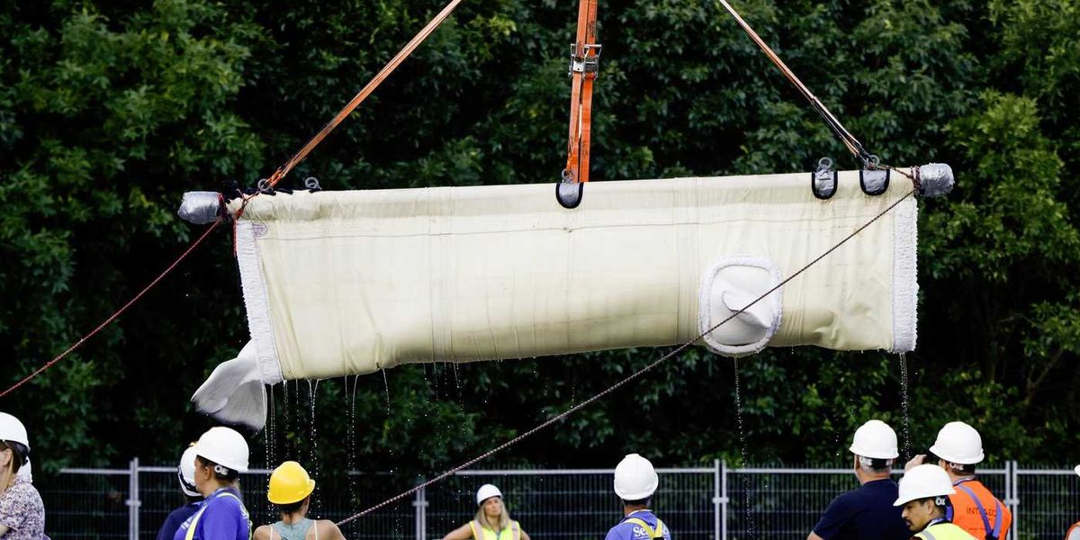 Seven more belugas on the move from Marineland to U.S. aquarium Seven more belugas on the move from Marineland to U.S. aquarium