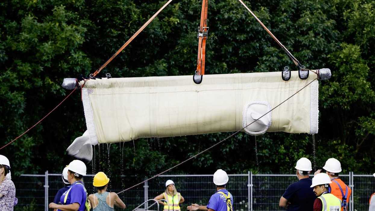 Seven more belugas on the move from Marineland