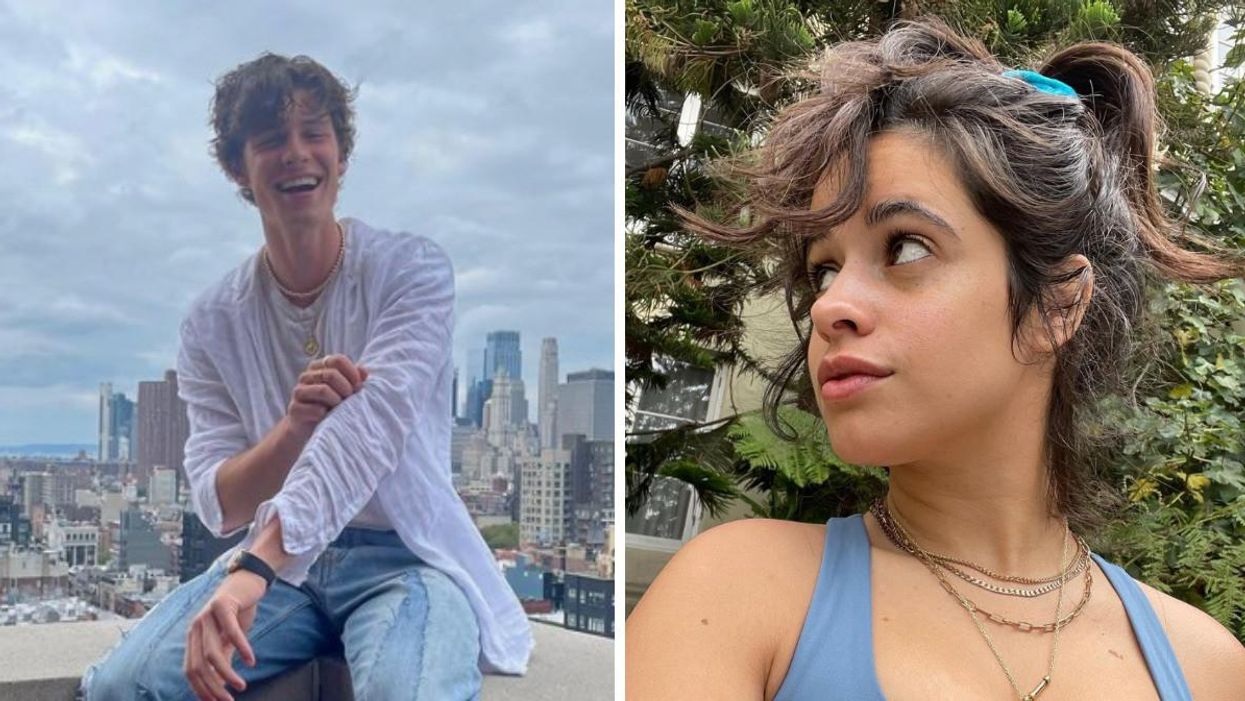 Shawn Mendes. Right: Camila Cabello.