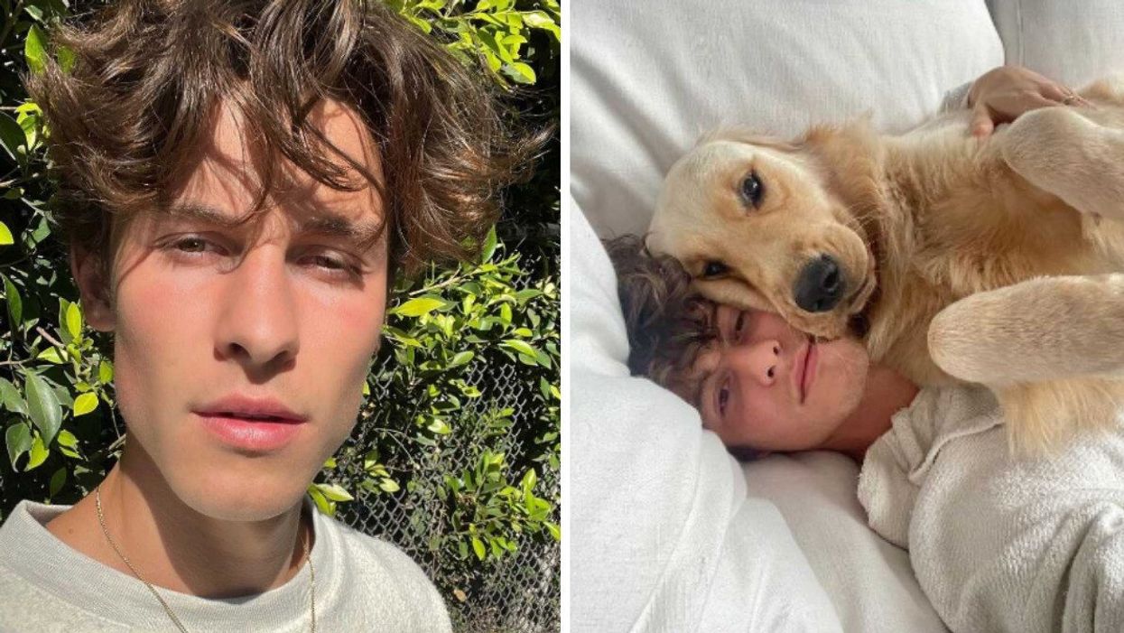 Shawn Mendes. Right: Shawn Mendes and a dog.