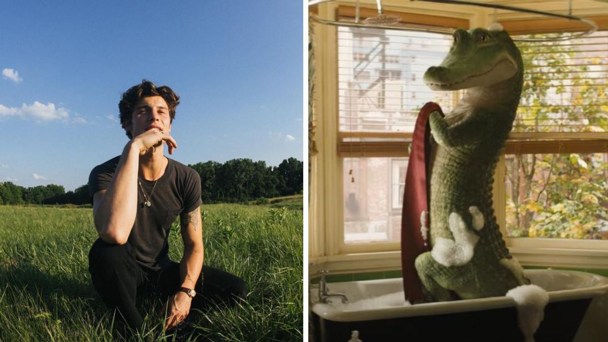 Shawn Mendes sitting in a field. Right: Lyle The Crocodile in the shower.