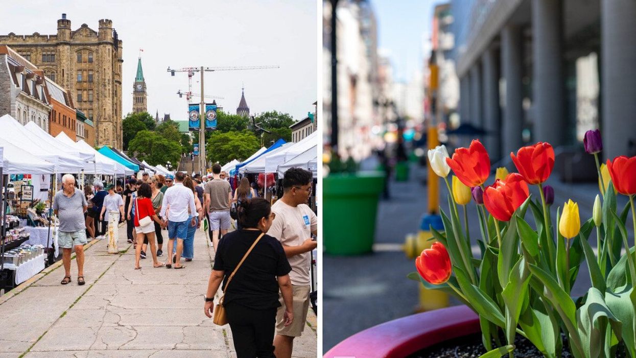 Shoppers pursue the York Street Market at the Byward Market. Right: Tulips blooming in a pot, with Ottawa city centre in the background.