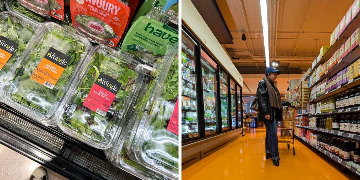 I went shopping at 3 of Ontario’s biggest grocery stores and one is unquestionably better, Life in canada I went shopping at 3 of Ontario’s biggest grocery stores and one is unquestionably better, Life in canada
