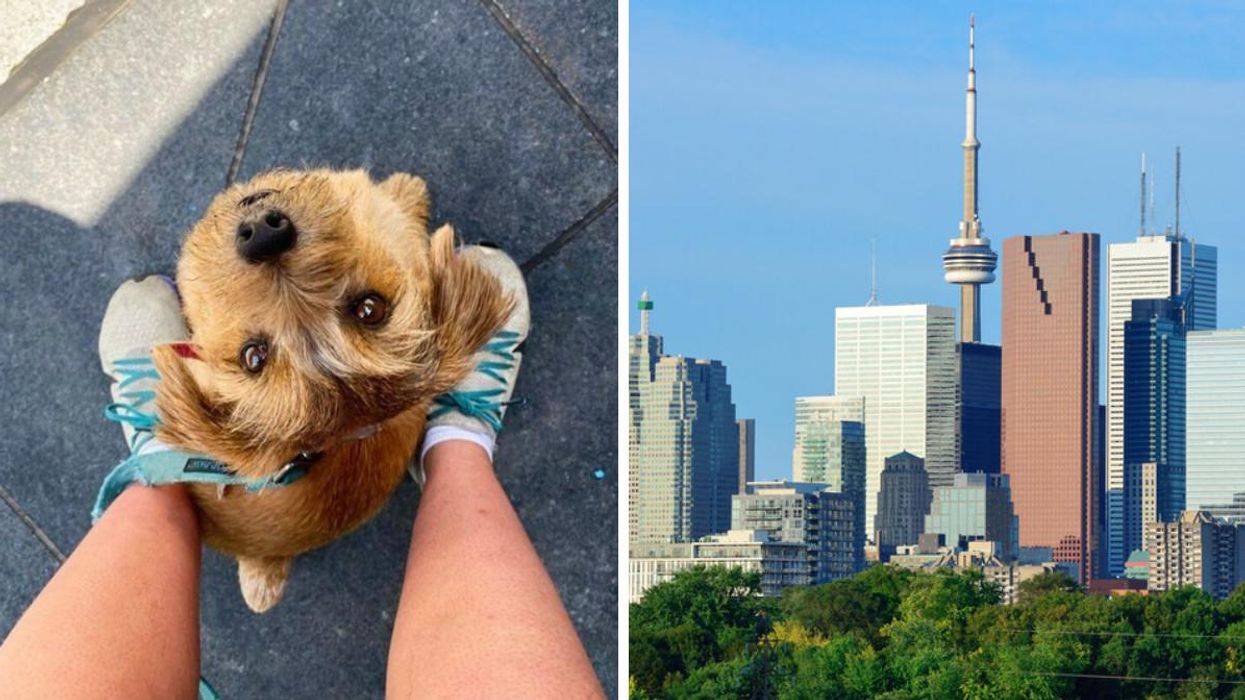 Side Jobs In Ontario Where You Can Earn Some Extra Cash