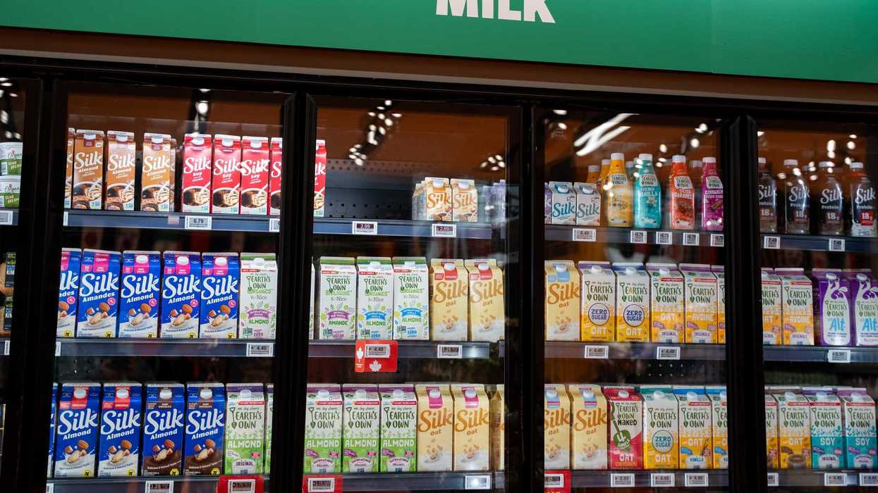 silk beverages and other brands in fridge at grocery store in canada