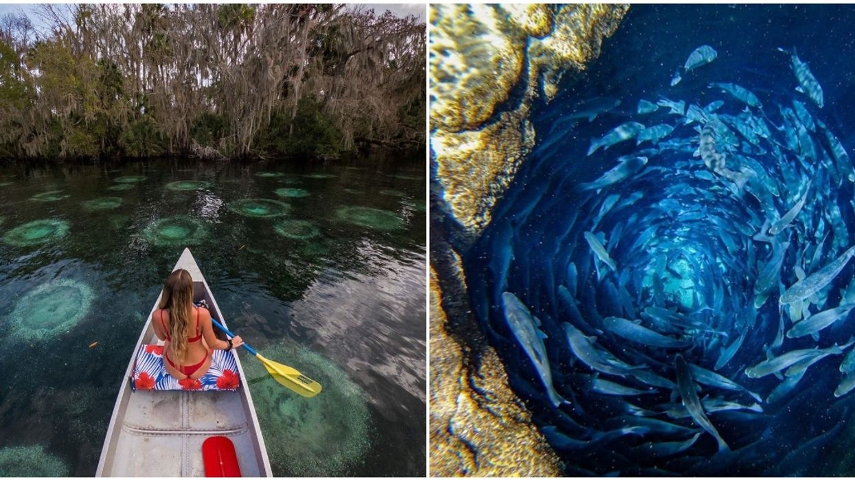 Silver Glen Springs In Florida Will Transport You To Another World This Summer