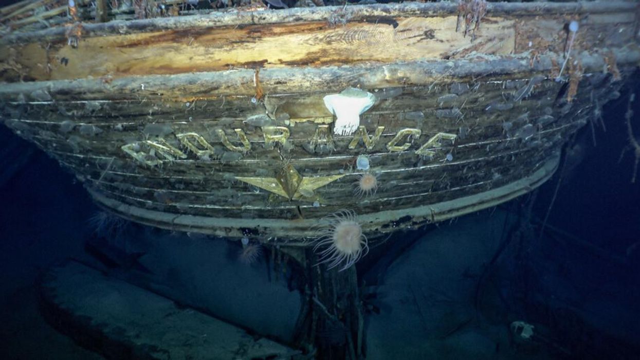 Sir Ernest Shackleton's ship, Endurance.