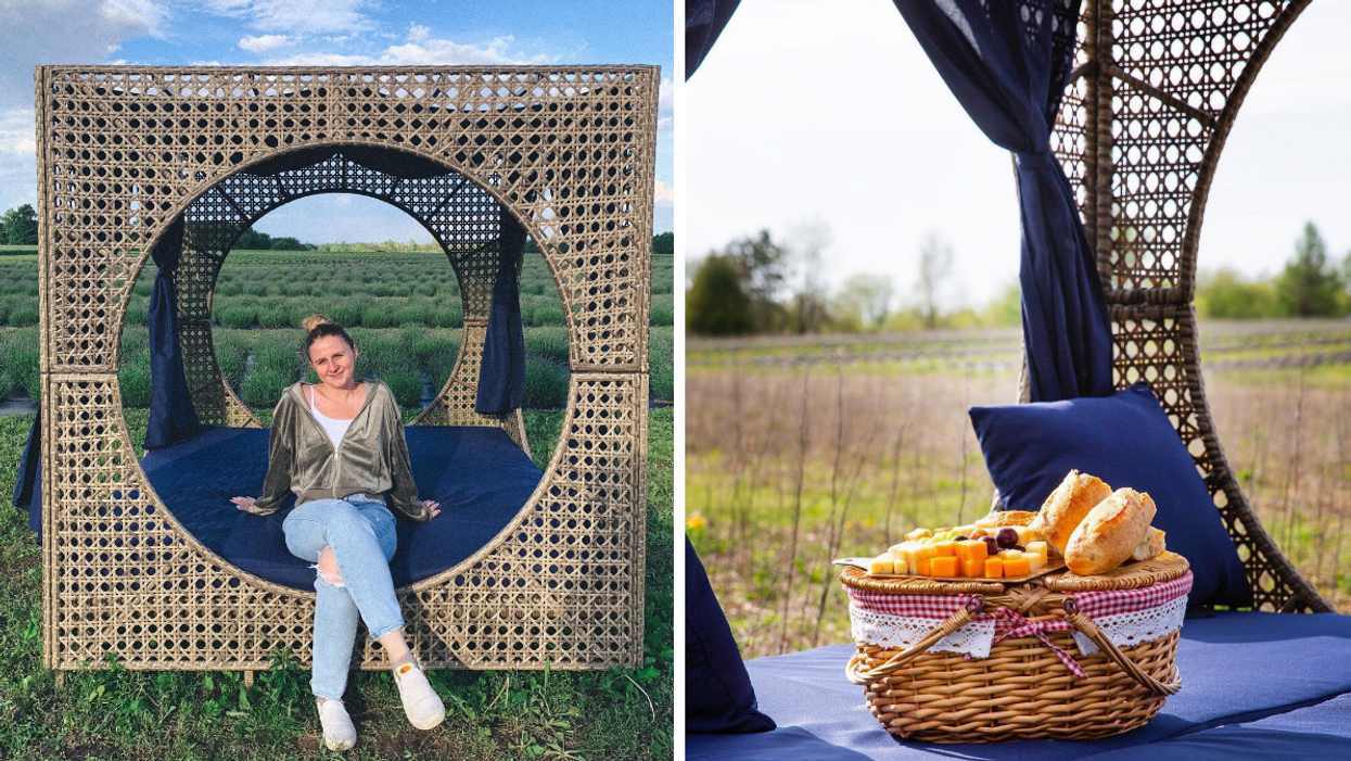 Sitting in a purple day bed in a lavender field. Right: Curated picnic basket at a lavender farm.