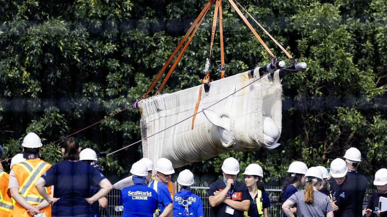 Six whales moved from Ontario's Marineland