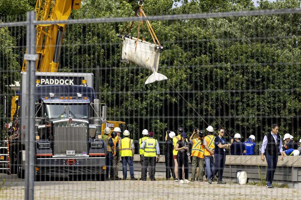 Six whales moved from Ontario's Marineland