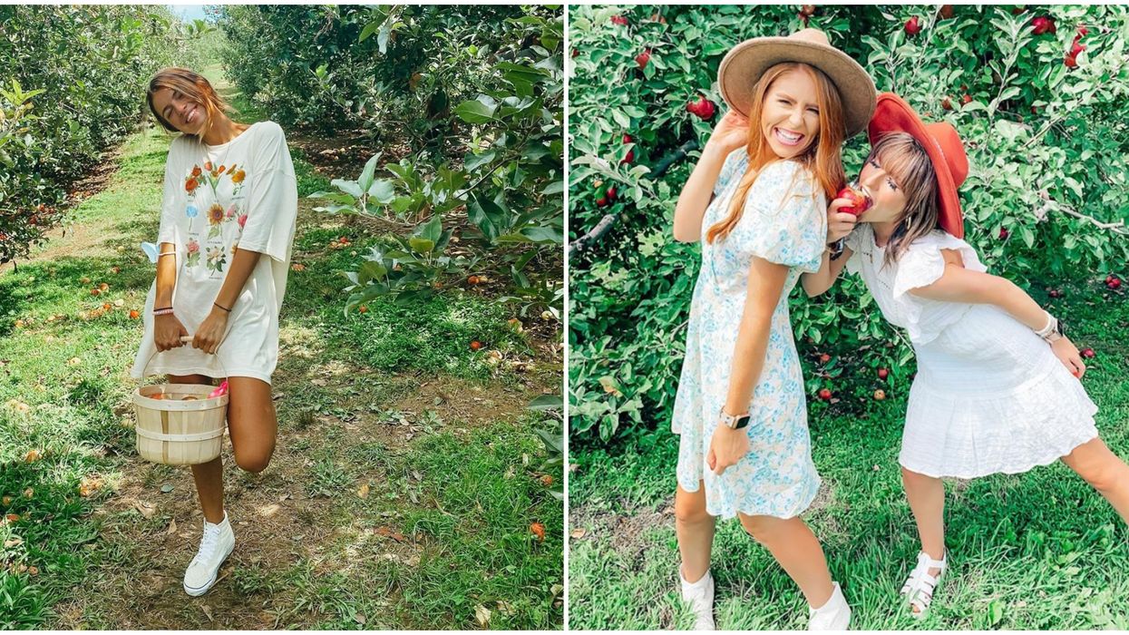 Sky Top Orchard In North Carolina Lets You Pick The Perfect Apple