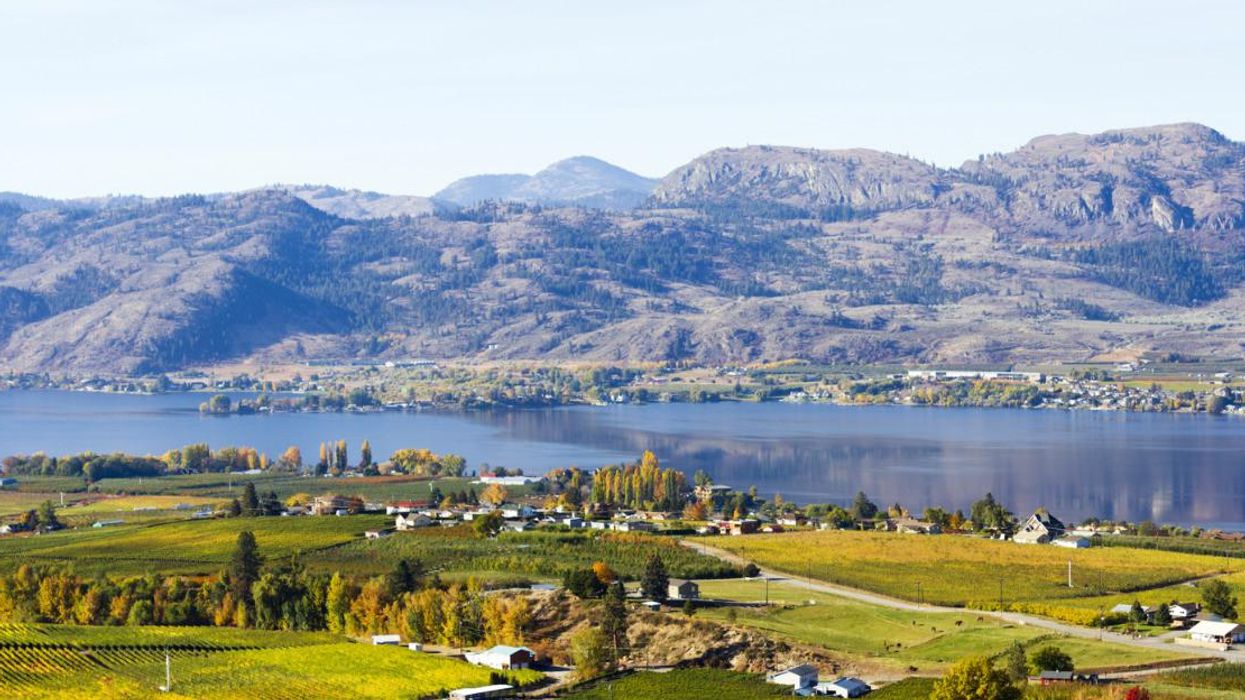 Small town of Osoyoos by Okanagan Lake, BC: Aerial view of green fields, trees, a body of water and mountains in the background.