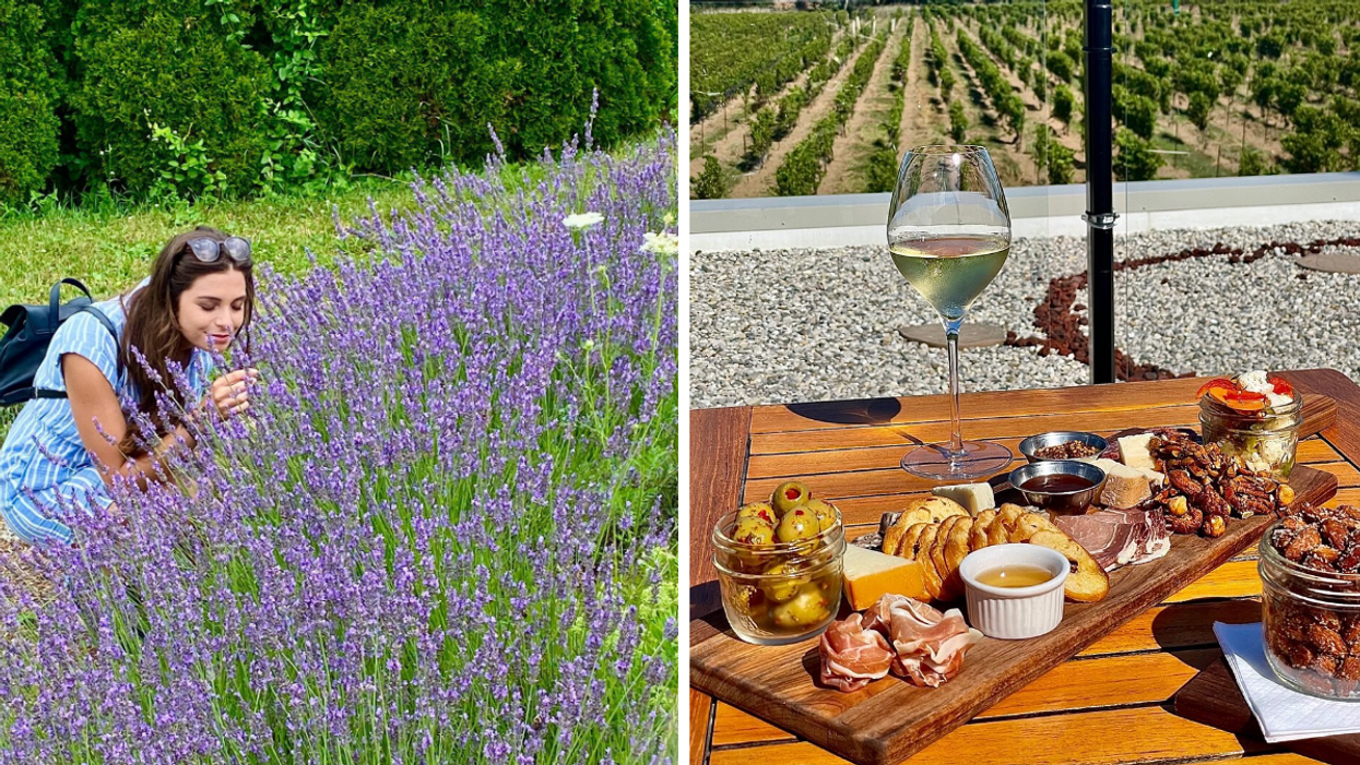 Smelling flowers at Serenity Lavender Farm. Right: Wine and charcuterie at North 42 Estate Winery.
