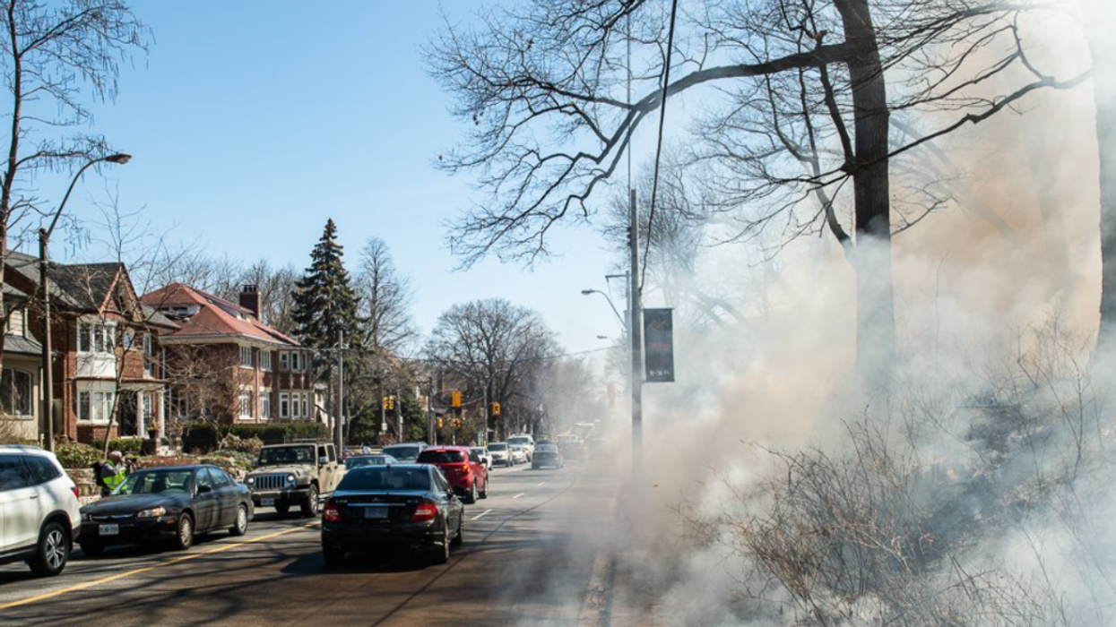 Smoking trees in a neighbourhood.