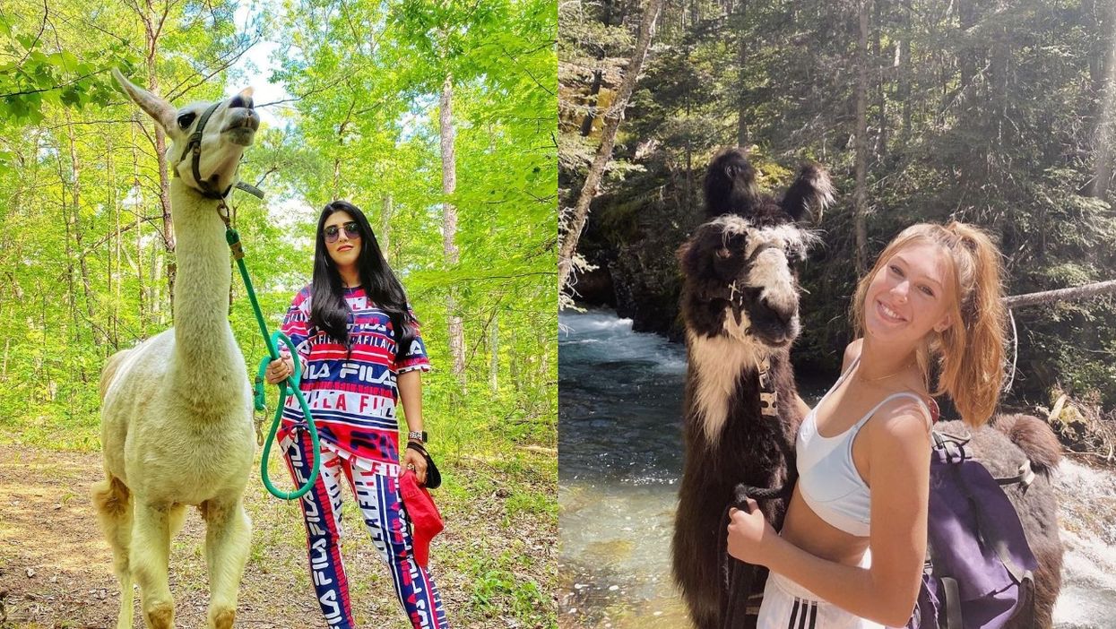 Smoky Mountain Llama Treks Parking