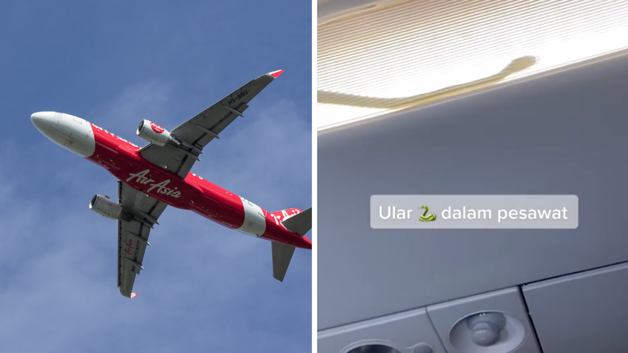 'Snakes On A Plane' Just Happened IRL & A Passenger Caught It All In A TikTok Video