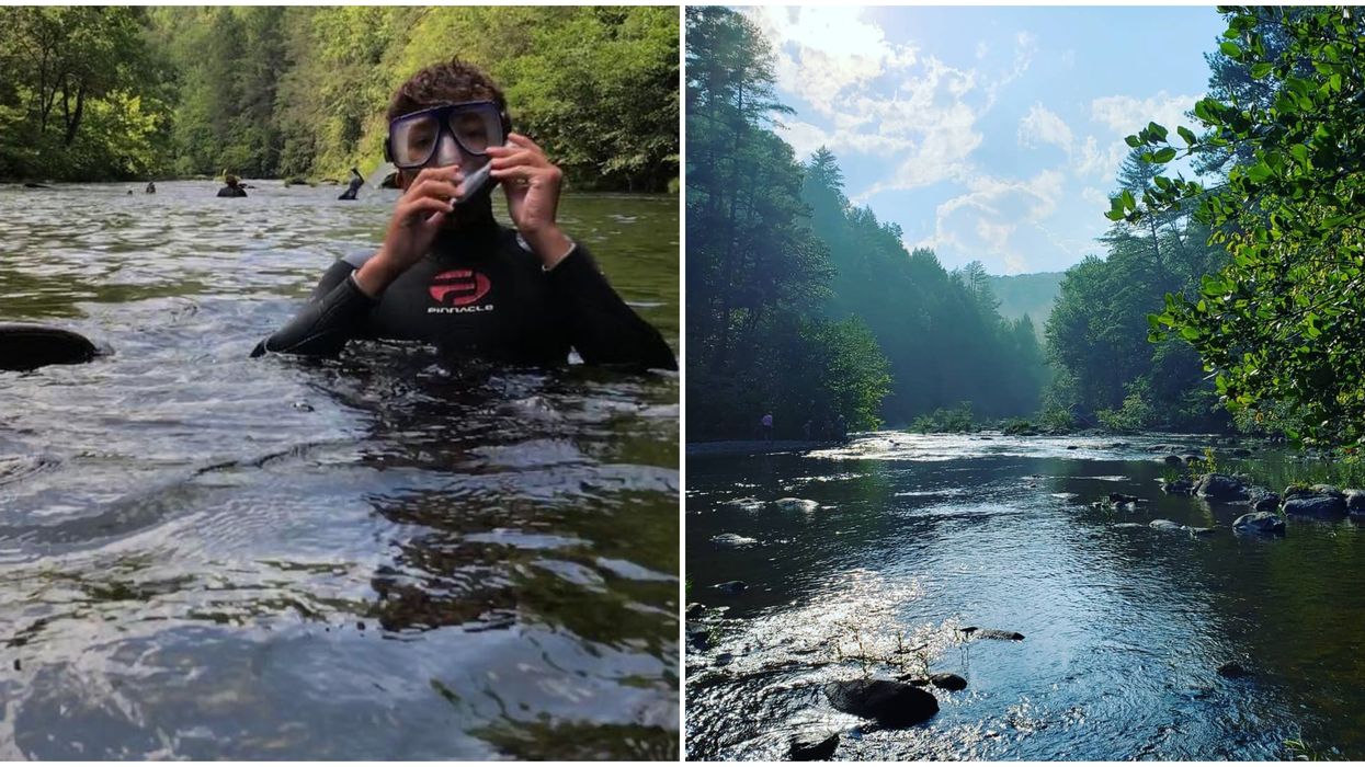 Snorkeling Adventure Near Georgia Conasauga Snorkel Hole Is Totally Free