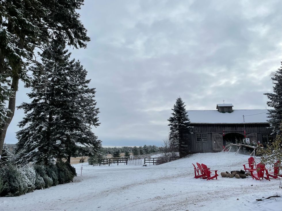 Christmas Tree Farm Near Toronto Is A Winter Wonderland & It's Worth