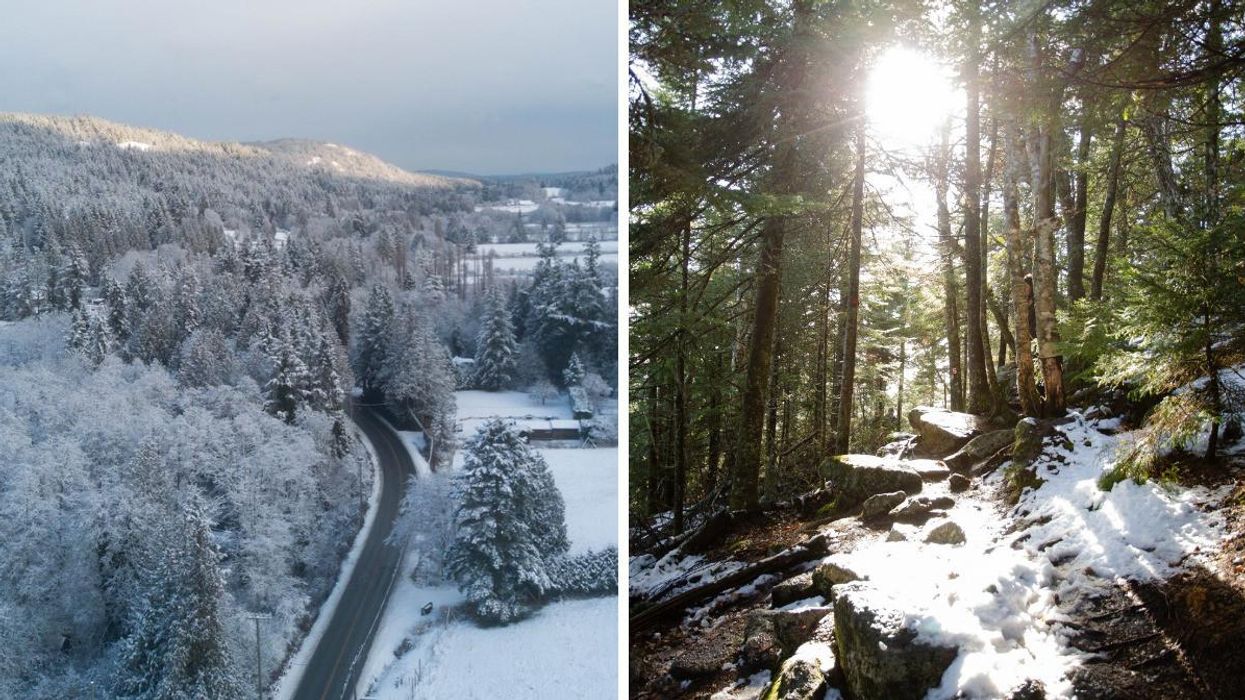 Snow-covered Canadian landscapes.