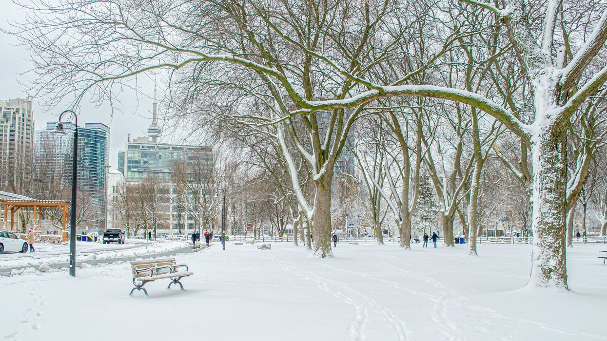 snow covered park in toronto with cn tower in the background