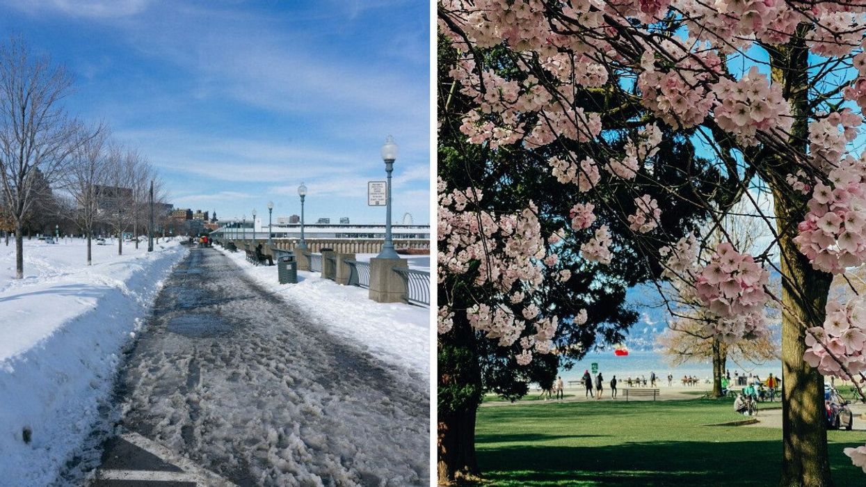 snow covered sidewalk beside bridge in montreal. right: cherry blossom trees near vancouver beach