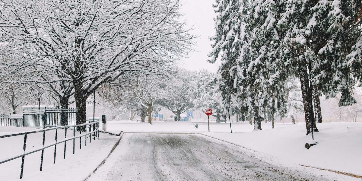 This weather system will bring up to 25 cm of snow to southern Ontario in the next few days This weather system will bring up to 25 cm of snow to southern Ontario in the next few days